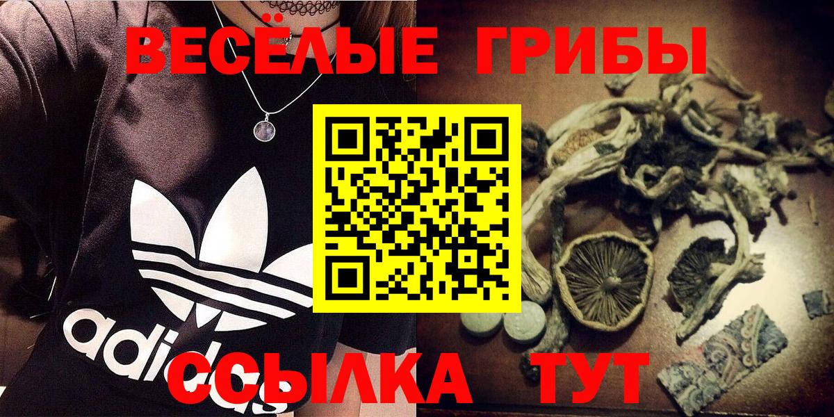 Ижевск  Псилоцибиновые грибы ЛСД  Вход с VPN 